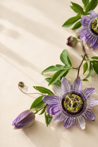 Passionflower