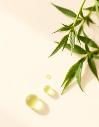 Citicoline